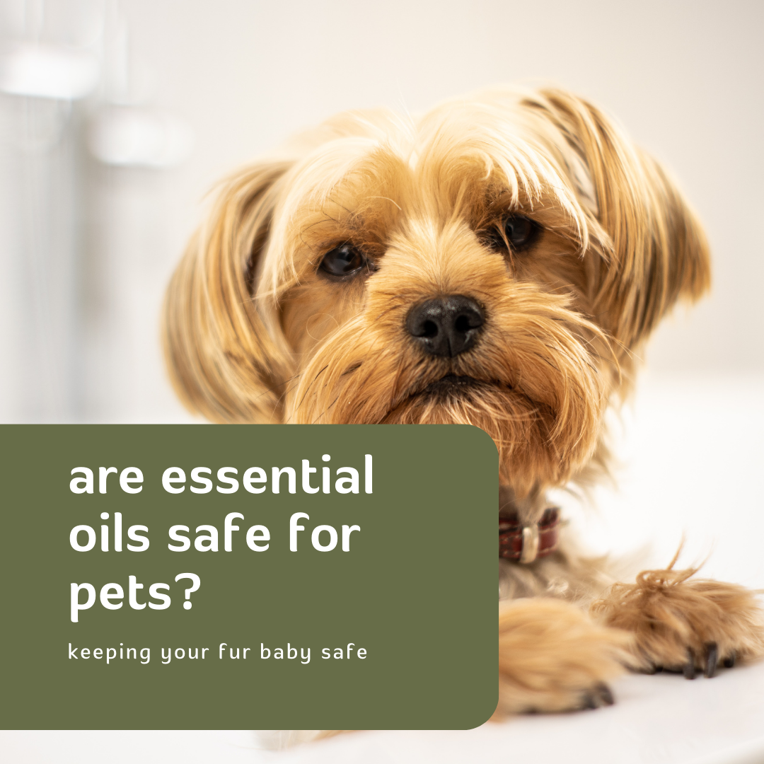 are essential oils safe for pets?