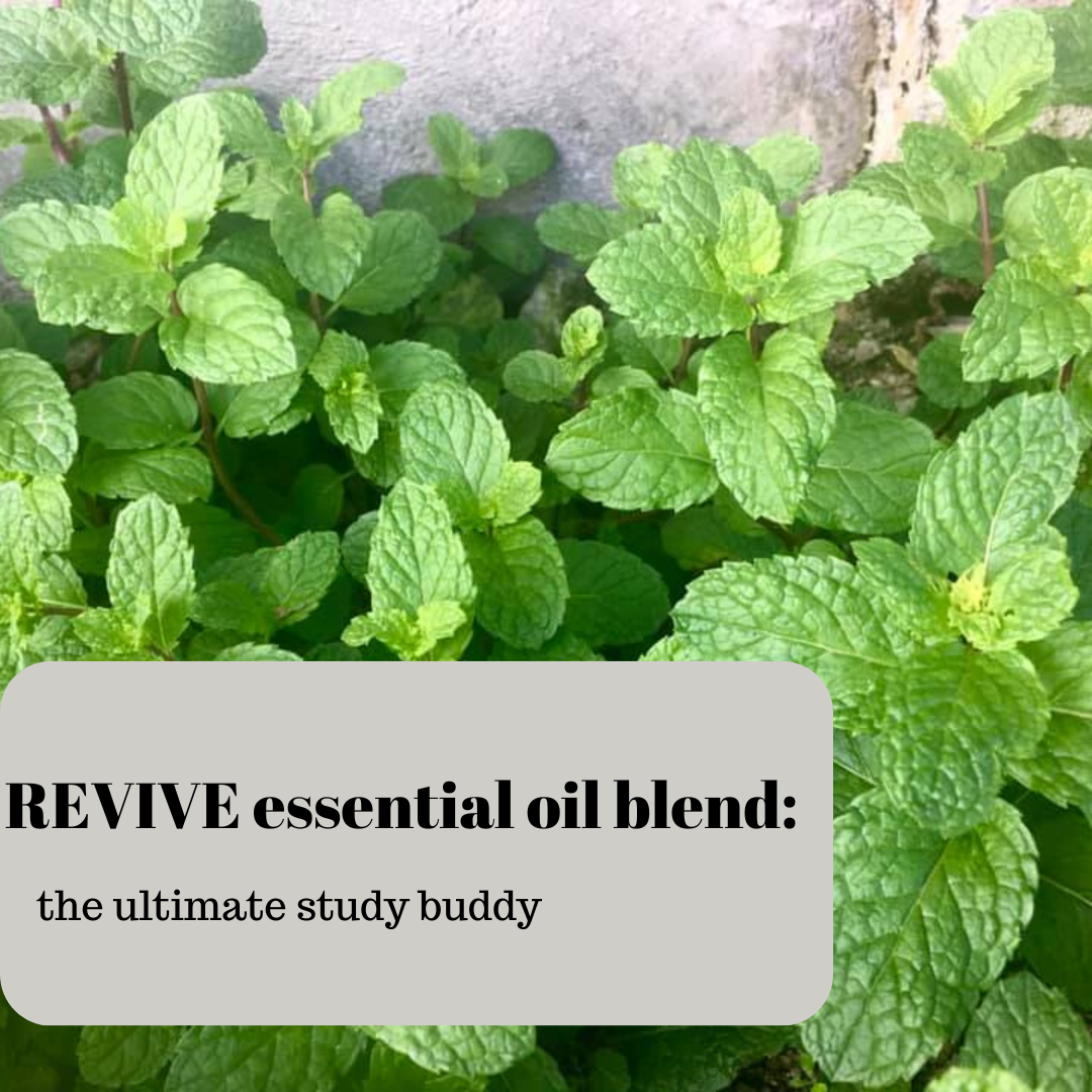 Revive Study REVIVE essential oil blend: the ultimate study buddy - bask aromatherapy