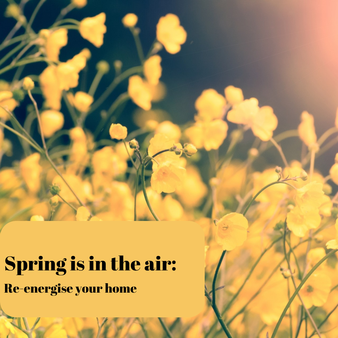 re-energise your home with essential oils