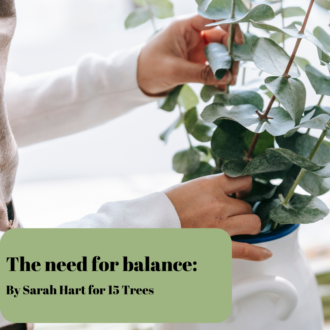 tree planting and being sustainable